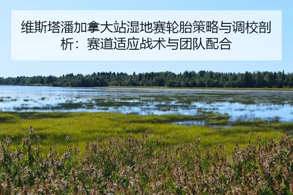 wei-si-ta-pan-jia-na-da-zhan-shi-di-sai-lun-tai-ce-lve-yu-diao-xiao-pou-xi-sai-dao-shi-ying-zhan-shu-yu-tuan-dui-pei-he-2-339.jpg